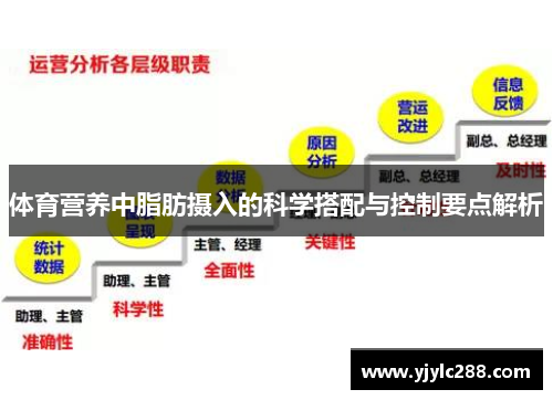 体育营养中脂肪摄入的科学搭配与控制要点解析